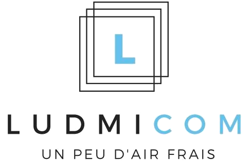 Logo Ludmicom